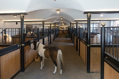 Reiterhof kaufen Anforderungen